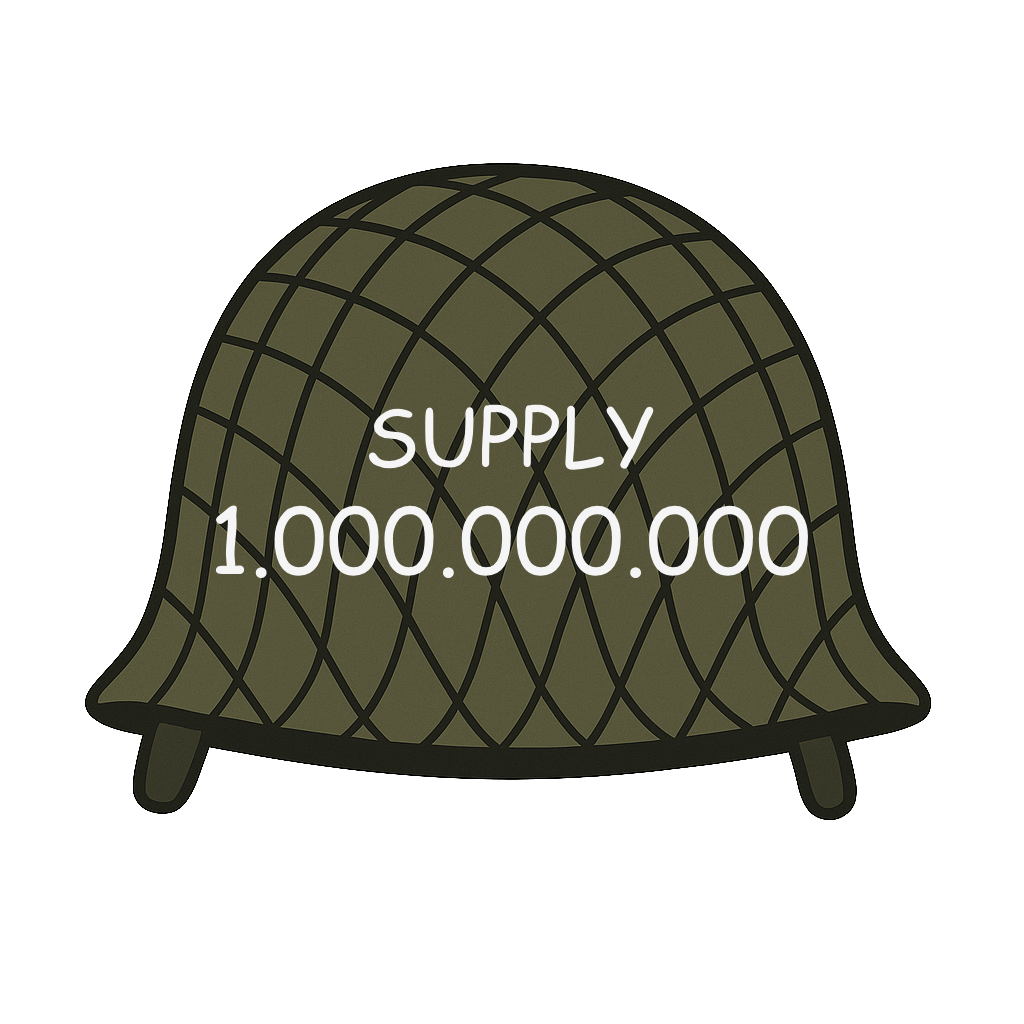 Helmet 3
